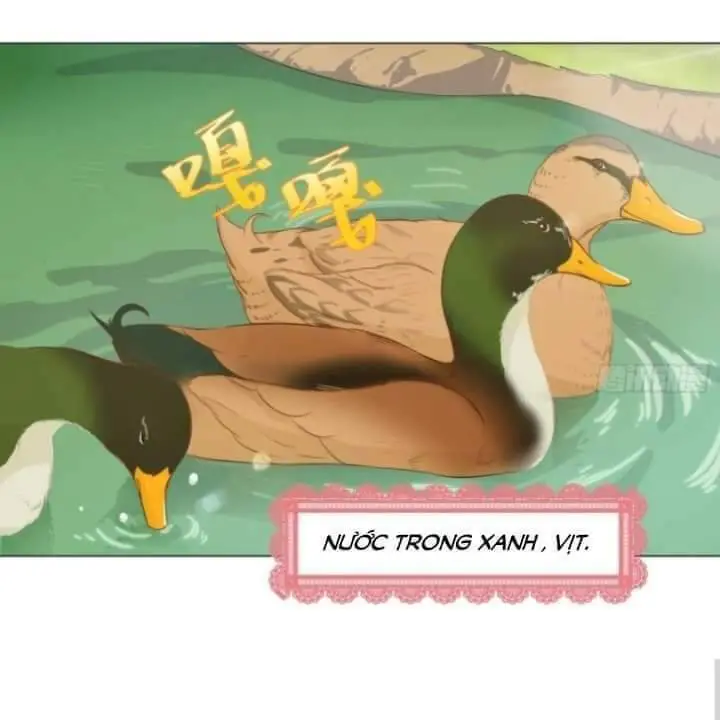 Thiên Thần Shipper Nettruyen ZZZ Chương 34 Page 8