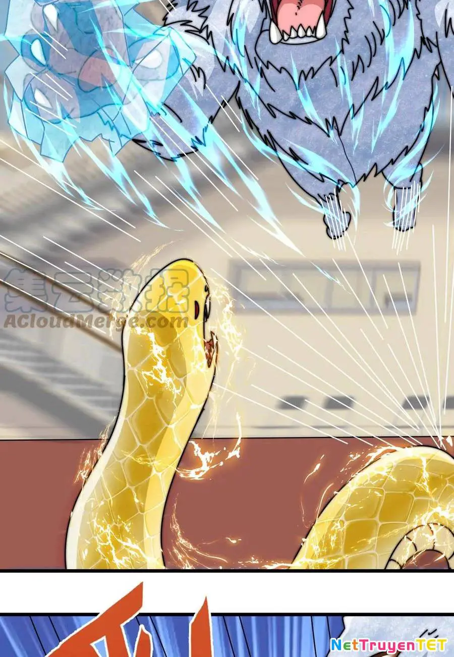Slime Ta Treo Cự Long Lên Đánh Là Hợp Lý Nhỉ? Nettruyen ZZZ Chương 122 Page 18