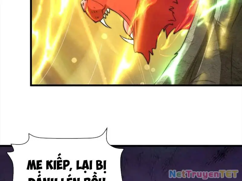 Slime Ta Treo Cự Long Lên Đánh Là Hợp Lý Nhỉ? Nettruyen ZZZ Chương 212 Page 11