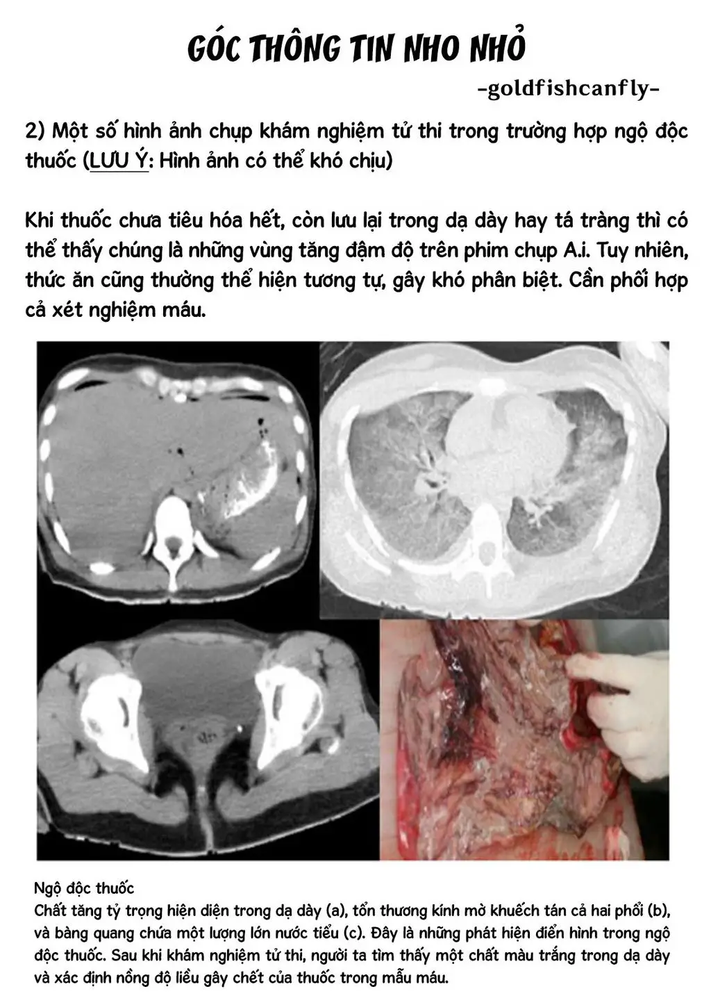 Radiation House Nettruyen ZZZ Chuong 104 Page 27