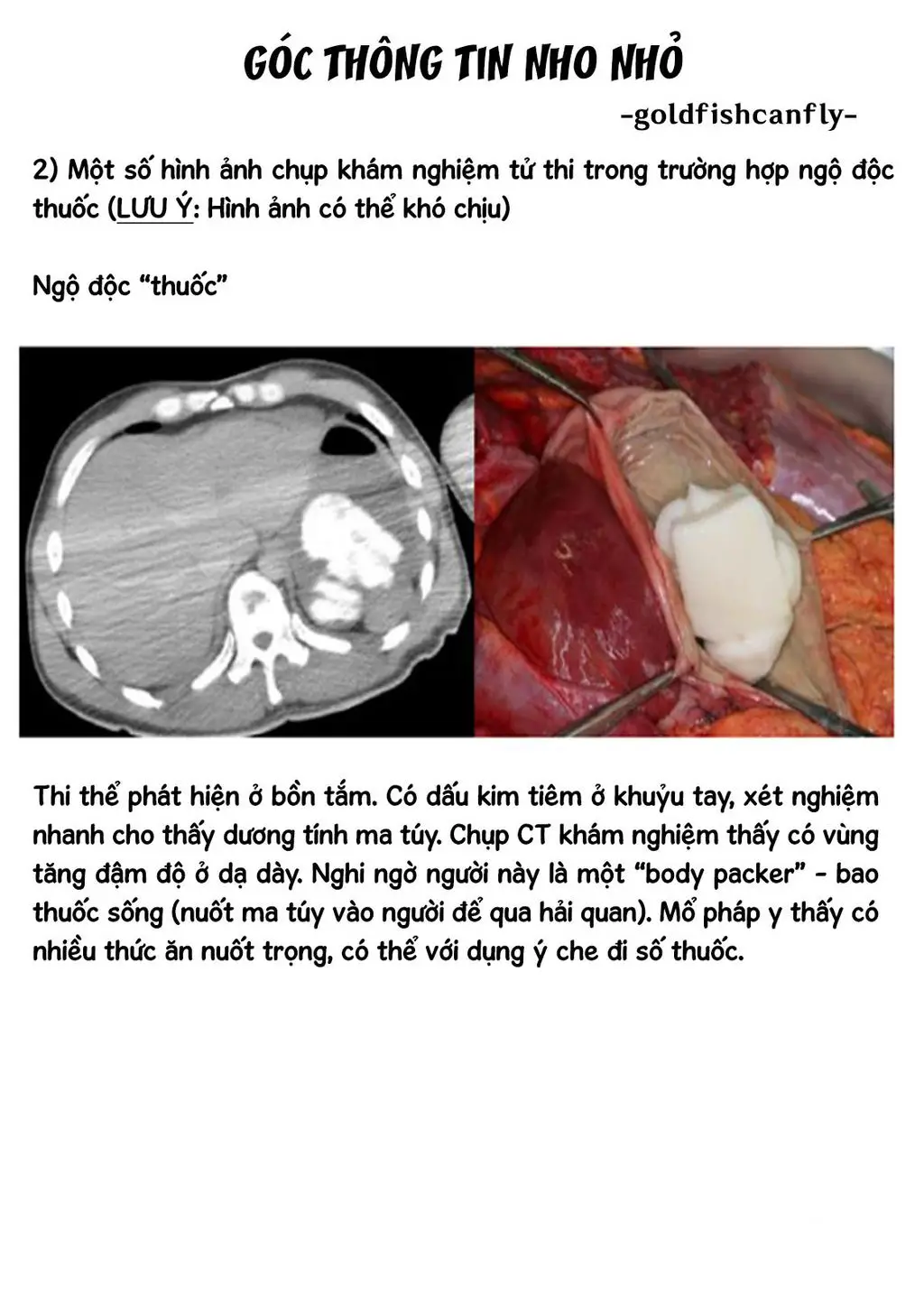Radiation House Nettruyen ZZZ Chuong 104 Page 28