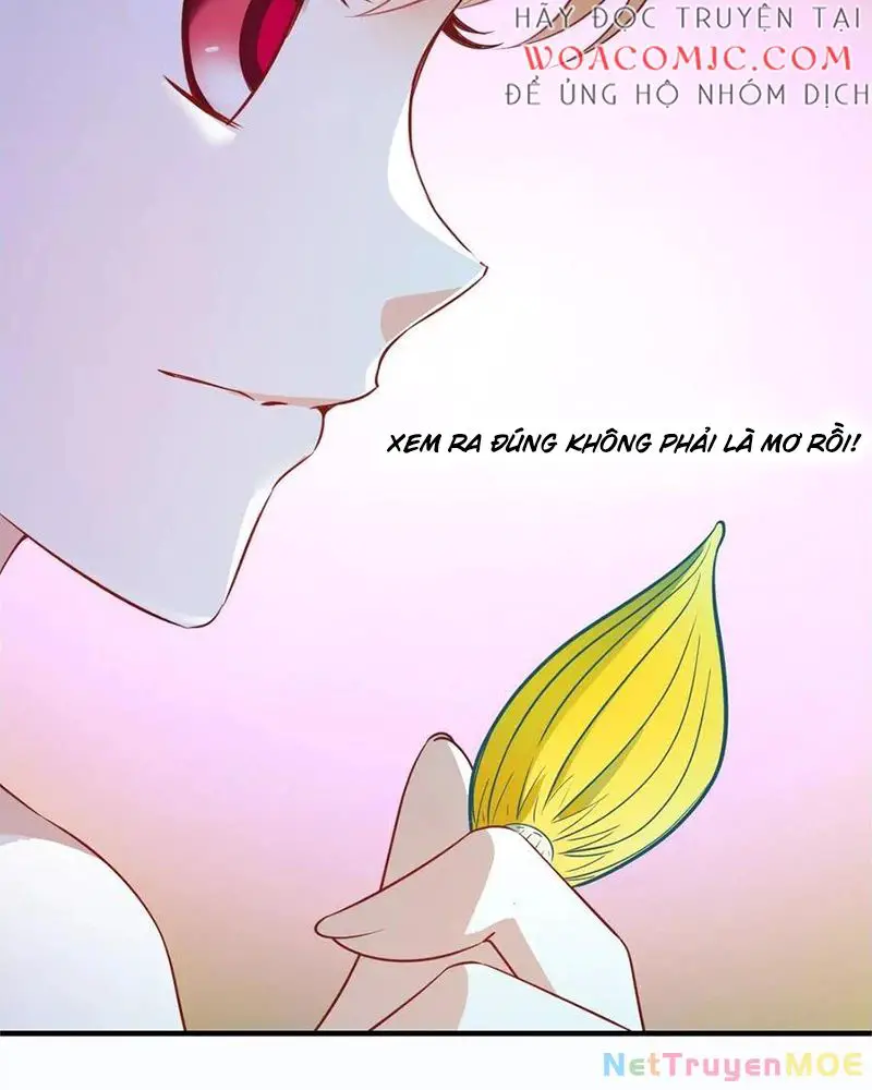 Phong Khởi Thương Lam Nettruyen ZZZ Chương 679 Page 7