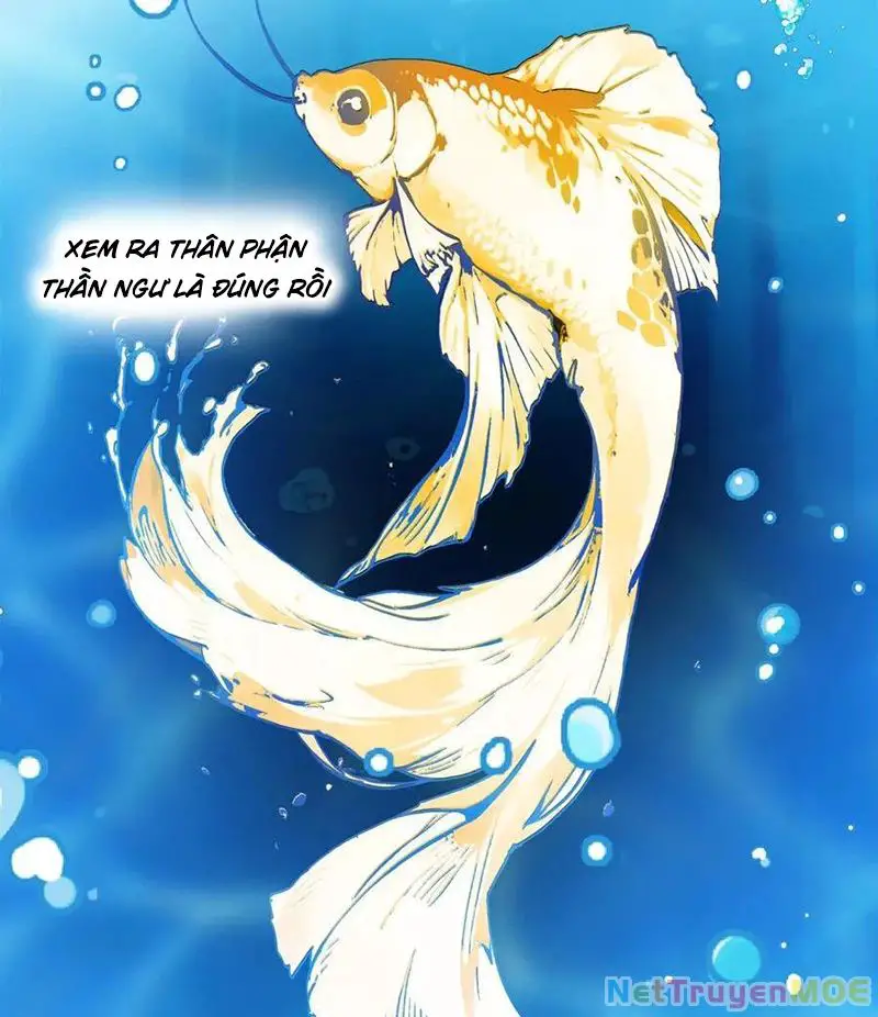 Phong Khởi Thương Lam Nettruyen ZZZ Chương 679 Page 24