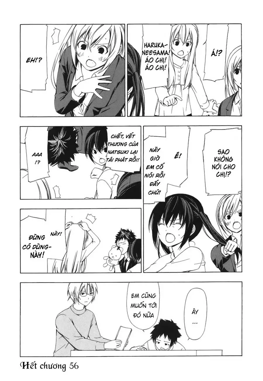 Minami-Ke Nettruyen ZZZ Chương 56 Page 11