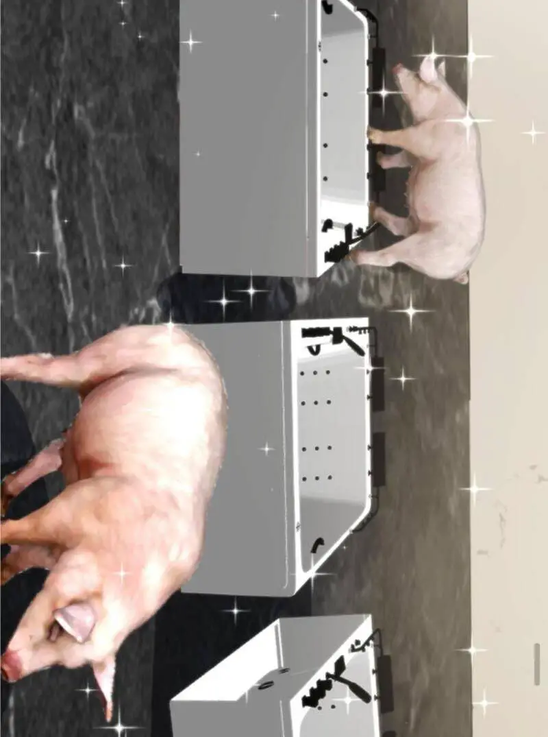 Ta Có 90 Tỷ Tiền Liếm Cẩu! Nettruyen ZZZ Chương 149 Page 8