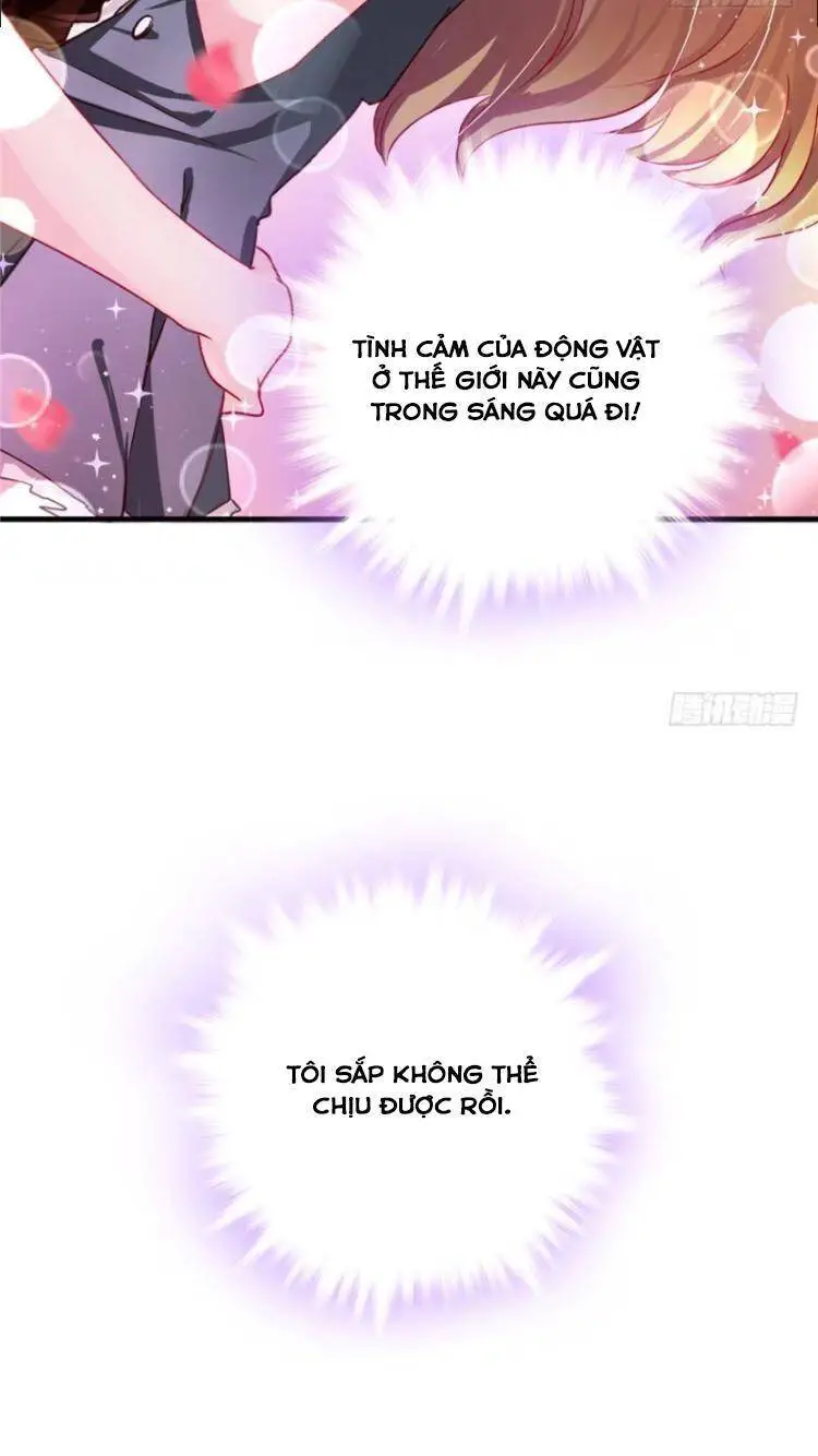 Thảnh Thơi Thú Thế Chủng Chủng Điền, Sinh Sinh Tể Nettruyen ZZZ Chương 6 Page 28