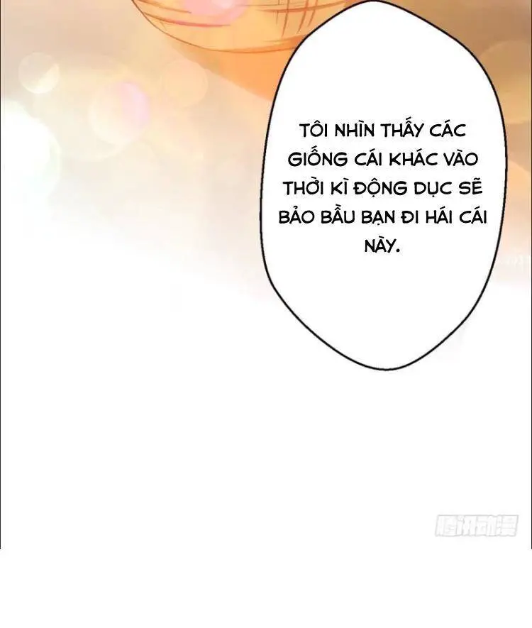Thảnh Thơi Thú Thế Chủng Chủng Điền, Sinh Sinh Tể Nettruyen ZZZ Chương 11 Page 30