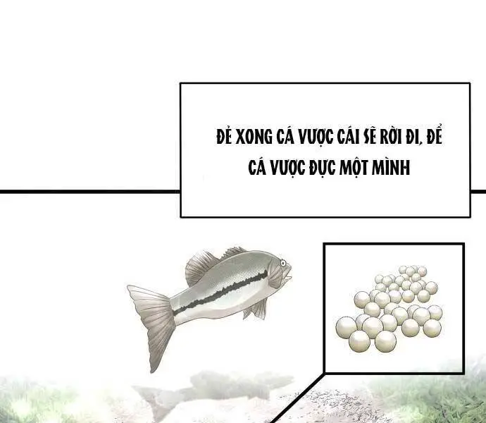 Hoá Thân Thành Cá Nettruyen ZZZ Chương 3 Page 66