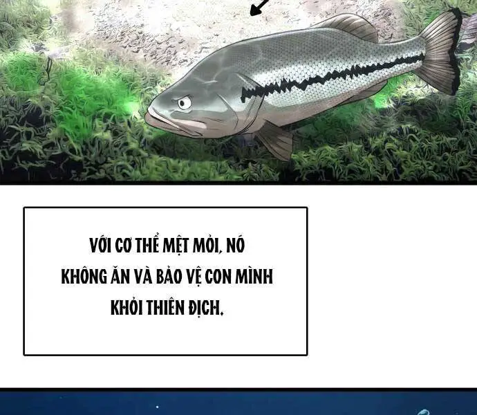 Hoá Thân Thành Cá Nettruyen ZZZ Chương 3 Page 67
