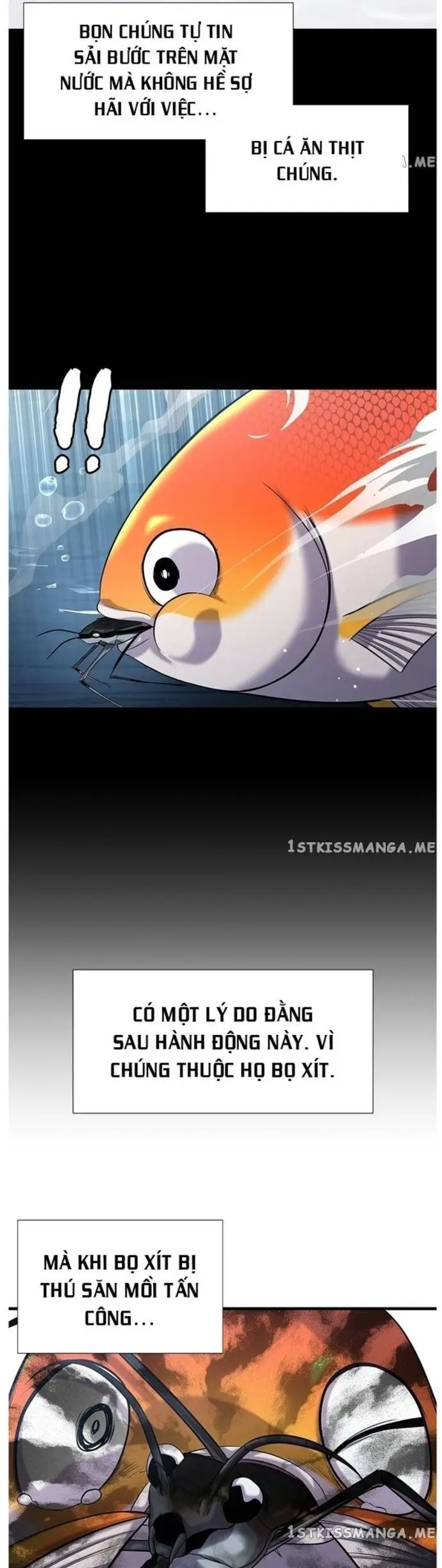 Hoá Thân Thành Cá Nettruyen ZZZ Chương 32 Page 7