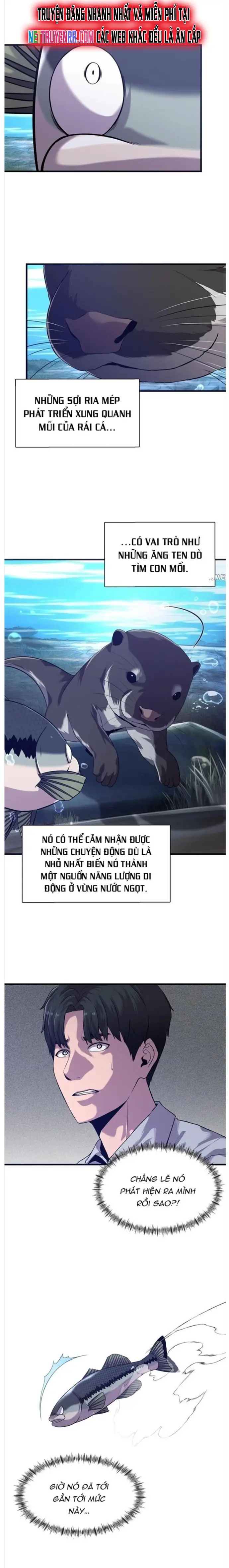 Hoá Thân Thành Cá Nettruyen ZZZ Chương 50 Page 2