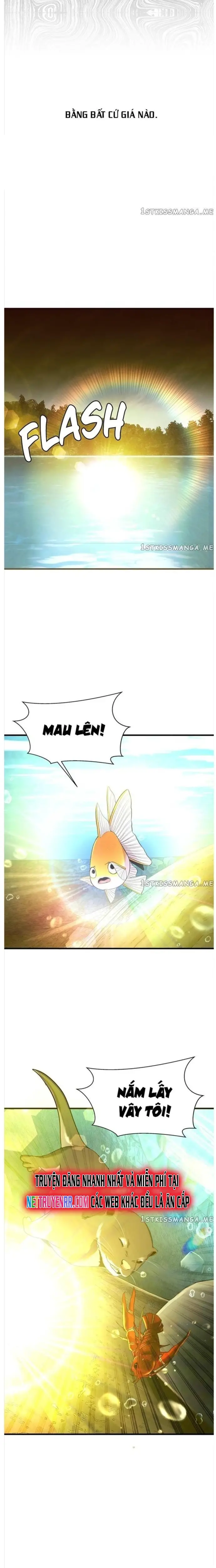 Hoá Thân Thành Cá Nettruyen ZZZ Chương 50 Page 19