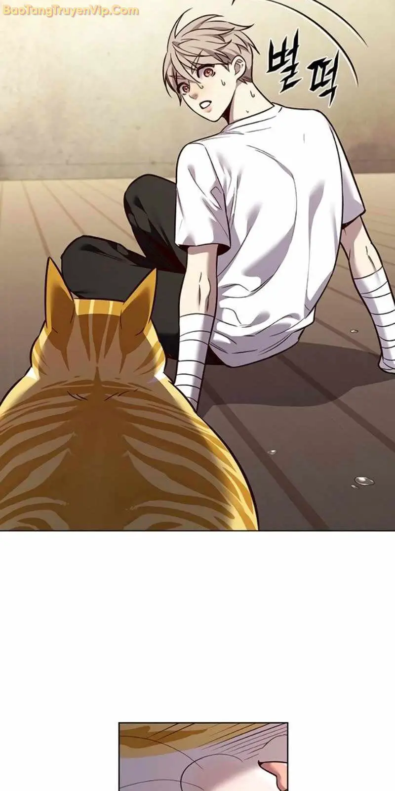Hoá Thân Thành Mèo Nettruyen ZZZ Chương 329 Page 95
