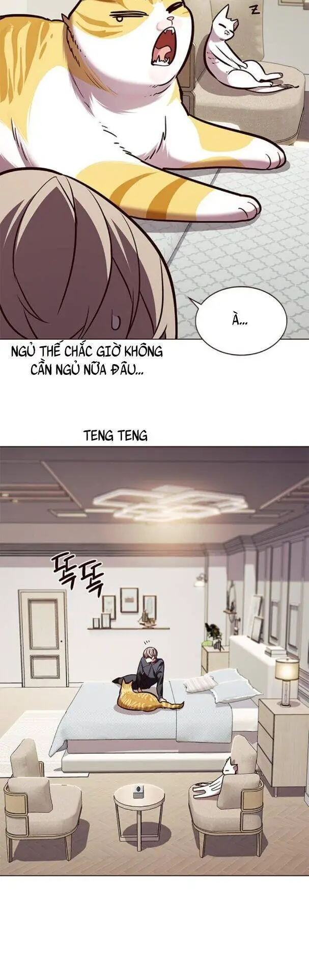 Hoá Thân Thành Mèo Nettruyen ZZZ Chương 195 Page 46