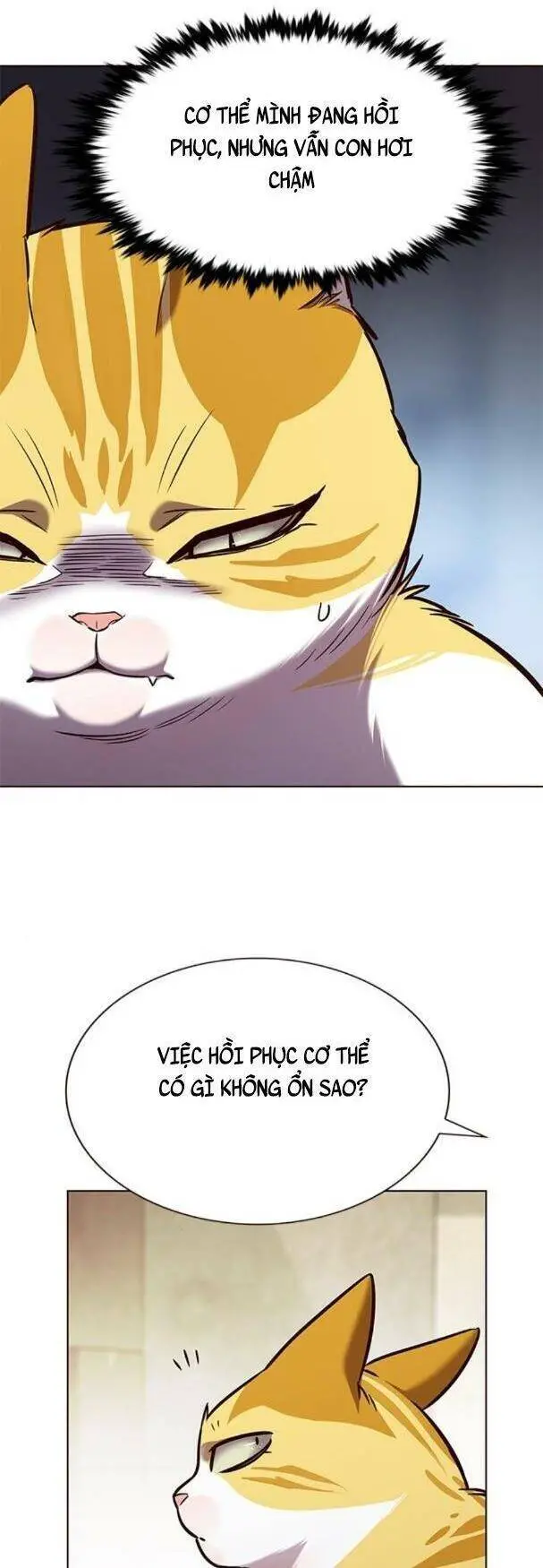 Hoá Thân Thành Mèo Nettruyen ZZZ Chương 180 Page 4