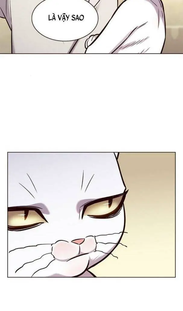 Hoá Thân Thành Mèo Nettruyen ZZZ Chương 180 Page 13