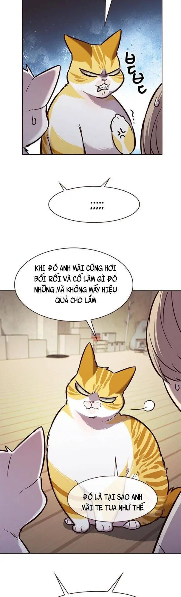 Hoá Thân Thành Mèo Nettruyen ZZZ Chương 180 Page 39