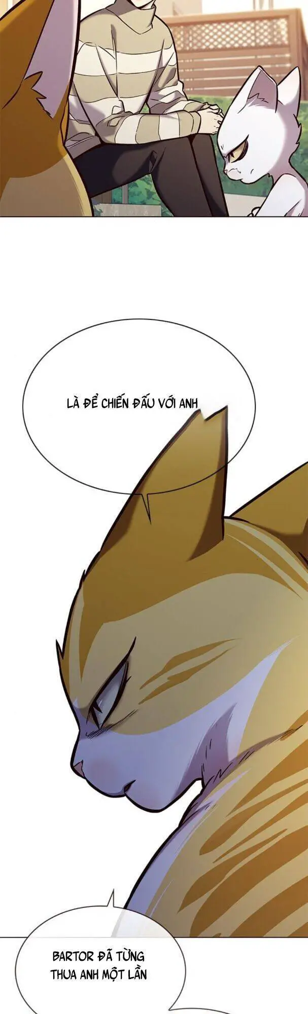 Hoá Thân Thành Mèo Nettruyen ZZZ Chương 181 Page 47