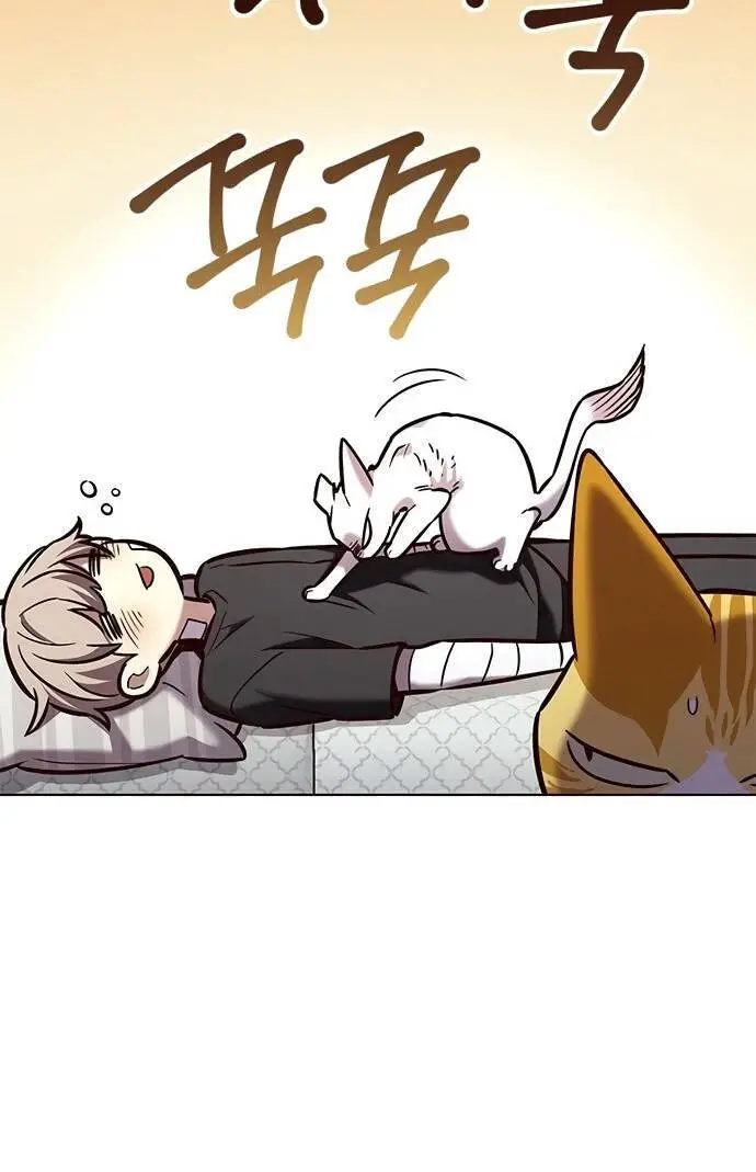 Hoá Thân Thành Mèo Nettruyen ZZZ Chương 199 Page 76