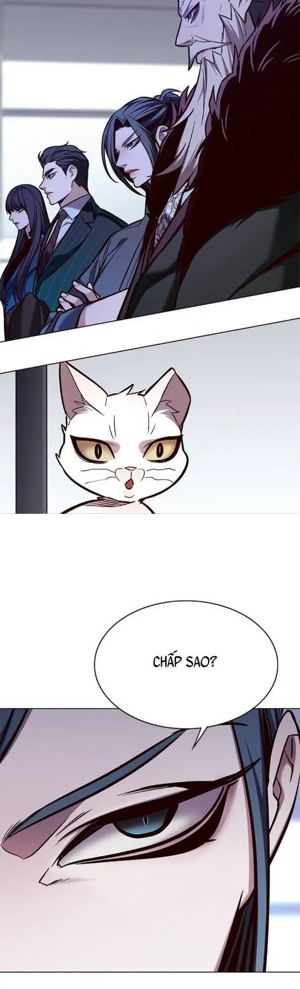 Hoá Thân Thành Mèo Nettruyen ZZZ Chương 175 Page 21