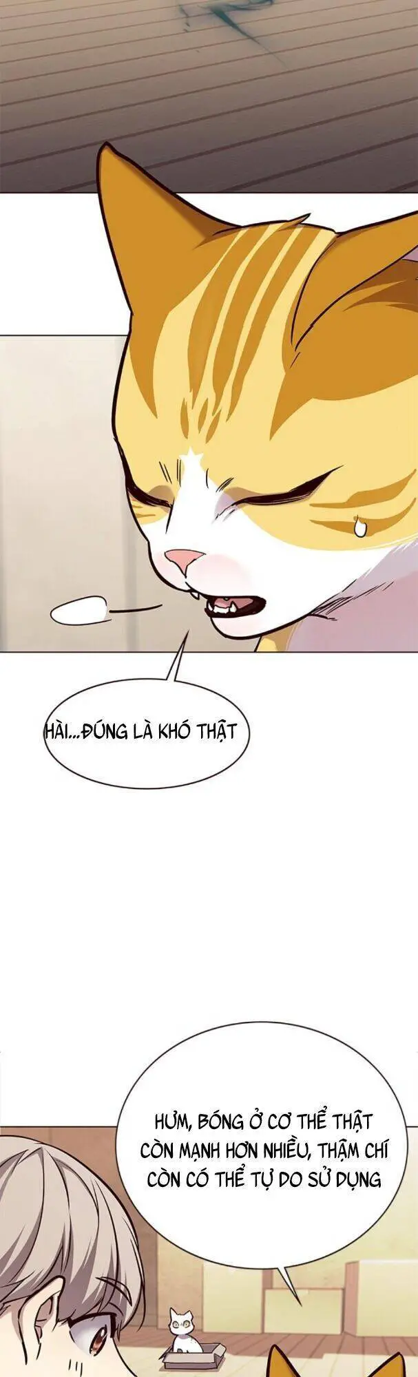 Hoá Thân Thành Mèo Nettruyen ZZZ Chương 174 Page 51