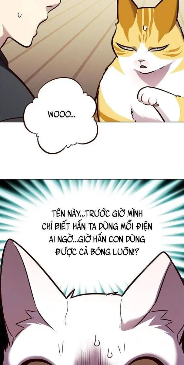 Hoá Thân Thành Mèo Nettruyen ZZZ Chương 174 Page 52