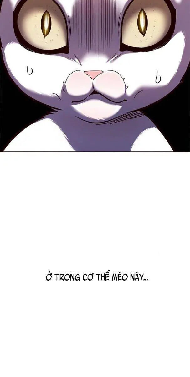 Hoá Thân Thành Mèo Nettruyen ZZZ Chương 174 Page 53