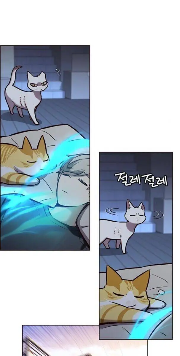 Hoá Thân Thành Mèo Nettruyen ZZZ Chương 174 Page 55