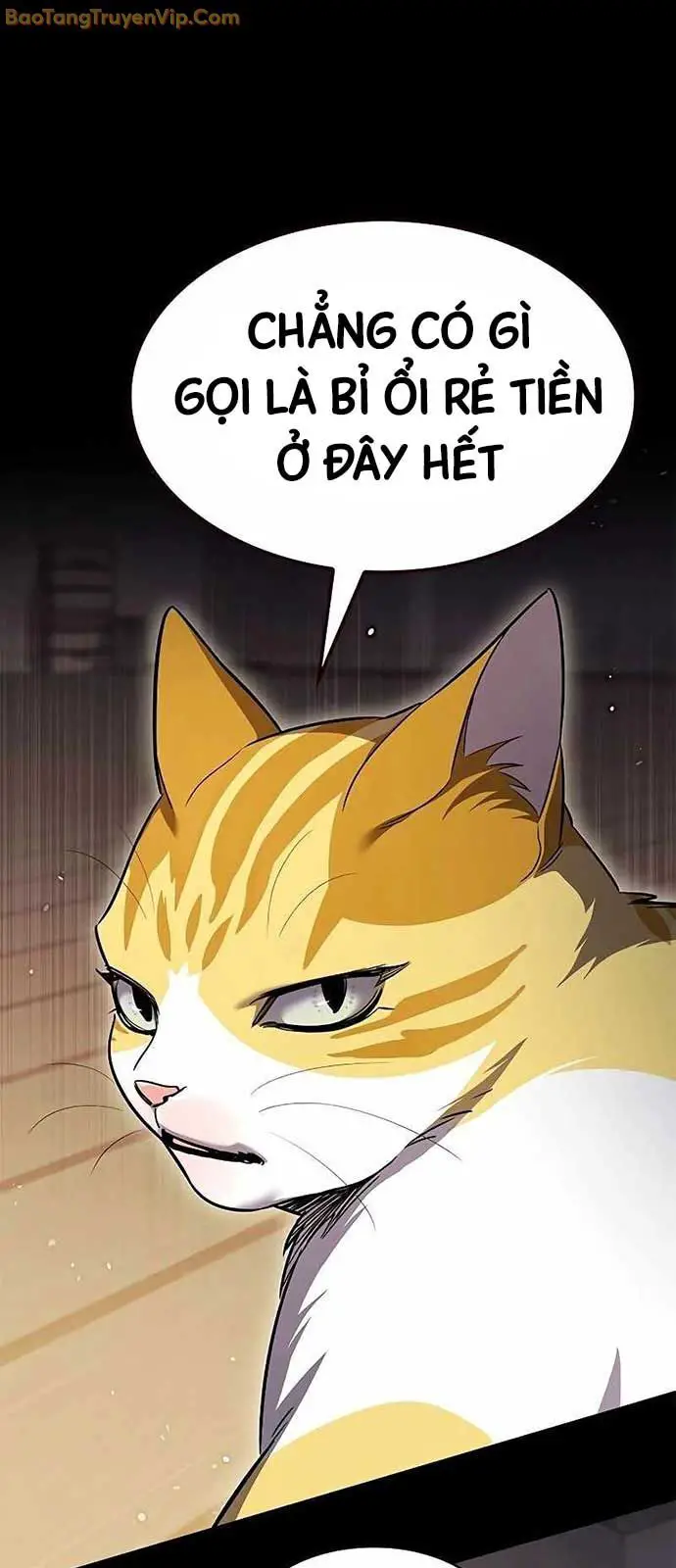 Hoá Thân Thành Mèo Nettruyen ZZZ Chương 334 Page 66