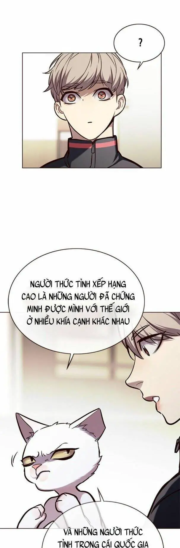 Hoá Thân Thành Mèo Nettruyen ZZZ Chương 170 Page 33