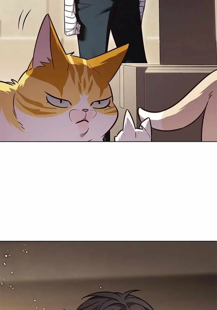 Hoá Thân Thành Mèo Nettruyen ZZZ Chương 330 Page 83