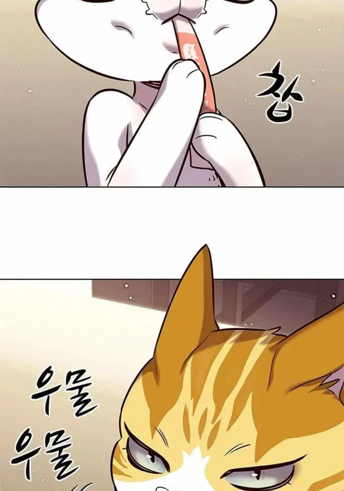 Hoá Thân Thành Mèo Nettruyen ZZZ Chương 330 Page 97