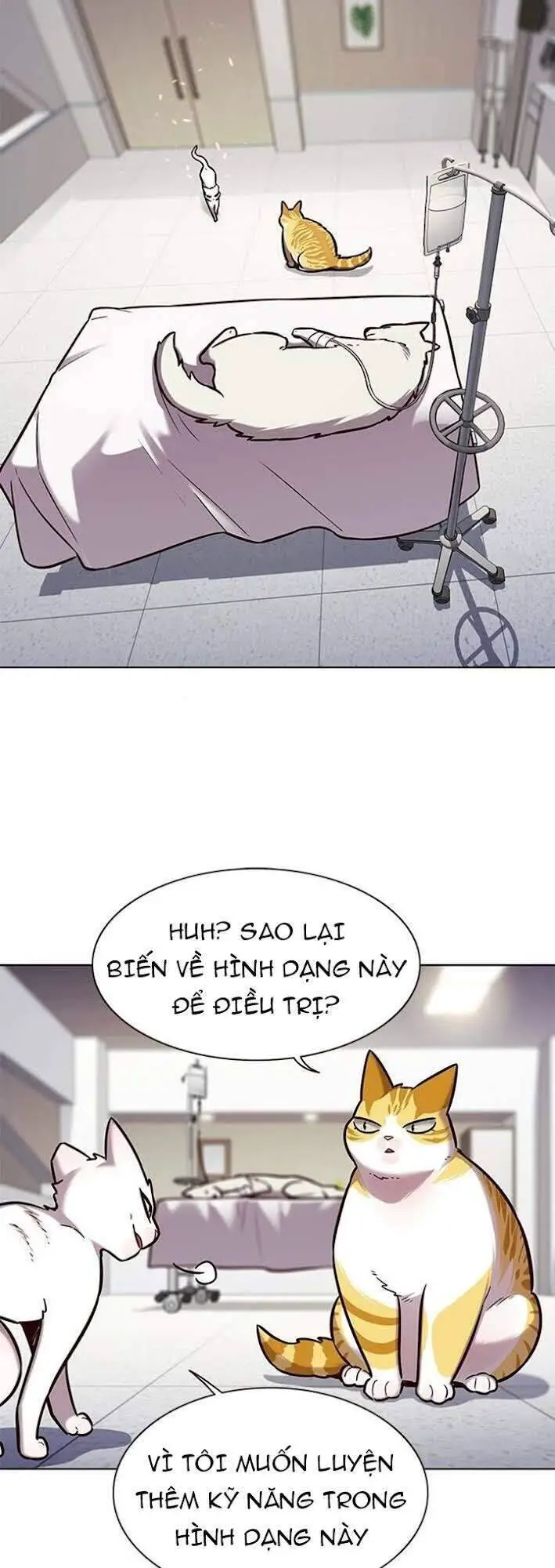 Hoá Thân Thành Mèo Nettruyen ZZZ Chương 166 Page 9