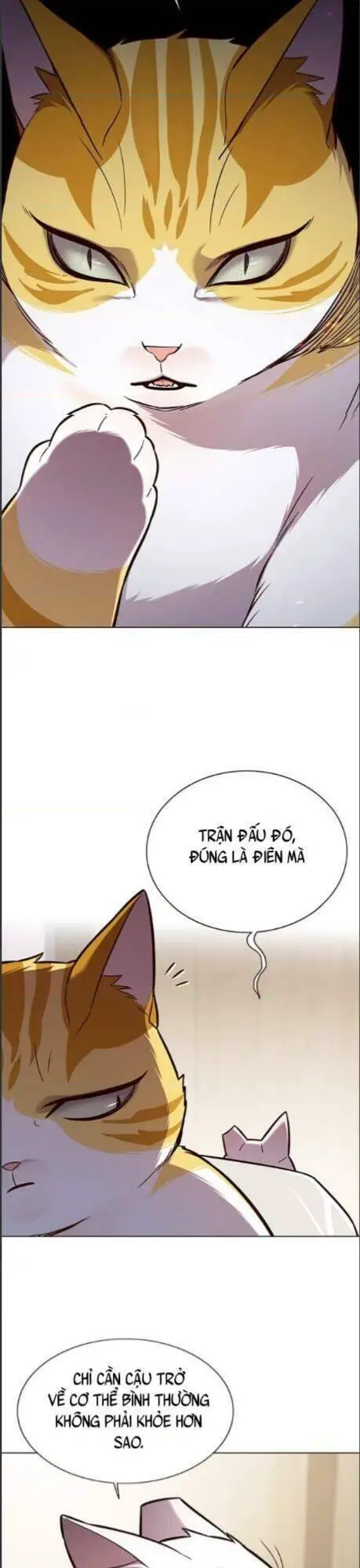 Hoá Thân Thành Mèo Nettruyen ZZZ Chương 164 Page 12