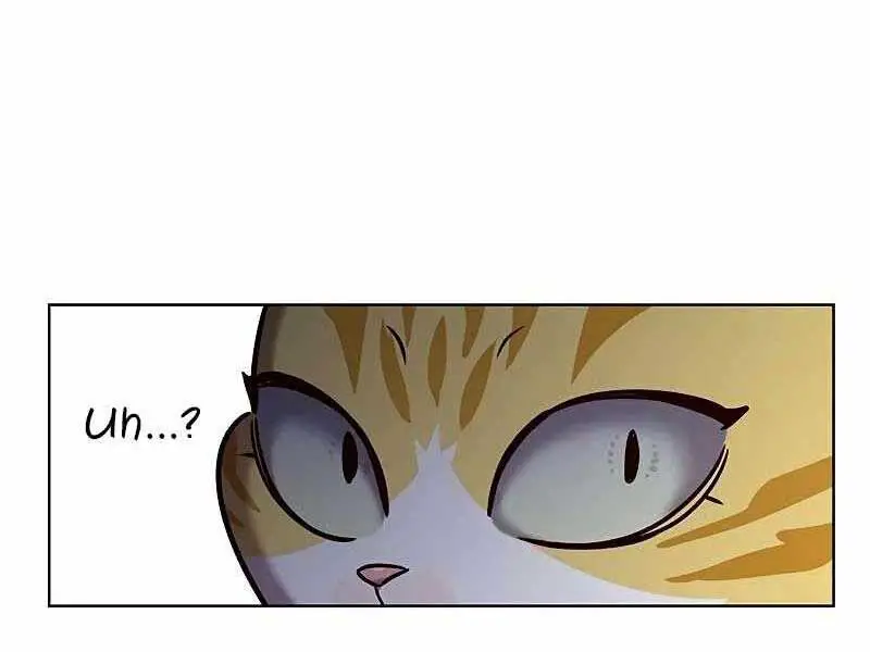Hoá Thân Thành Mèo Nettruyen ZZZ Chương 325 Page 54