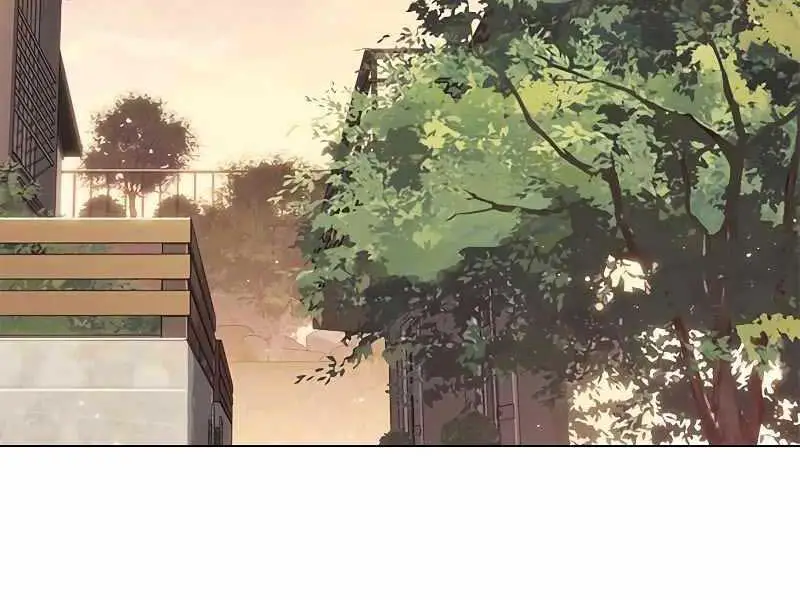 Hoá Thân Thành Mèo Nettruyen ZZZ Chương 325 Page 209