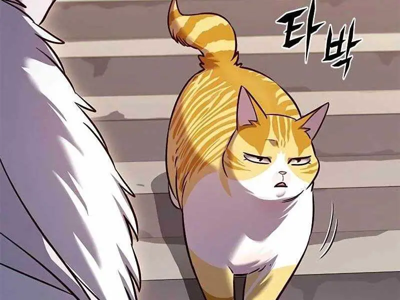 Hoá Thân Thành Mèo Nettruyen ZZZ Chương 325 Page 235