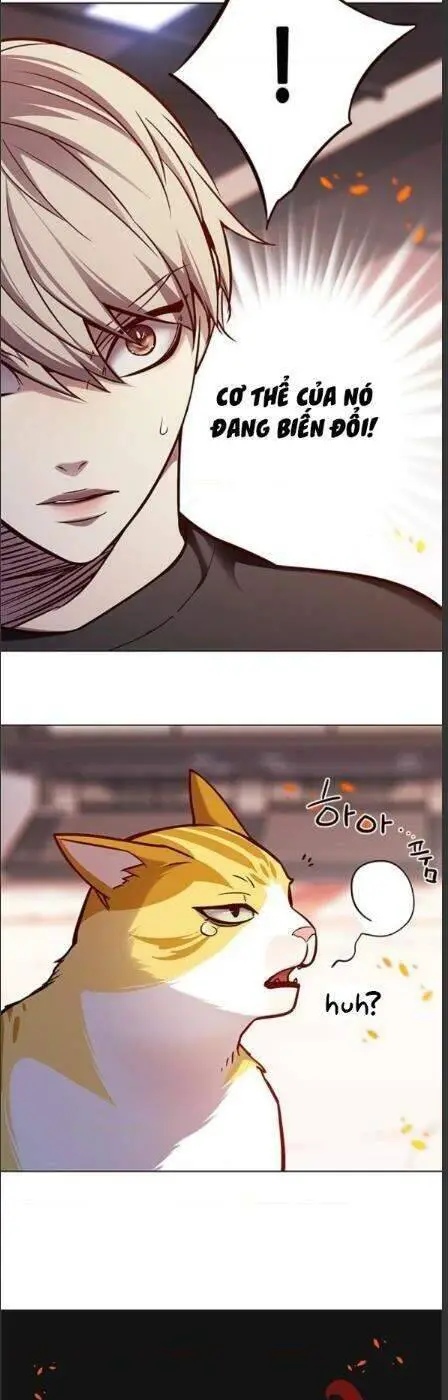 Hoá Thân Thành Mèo Nettruyen ZZZ Chương 162 Page 30