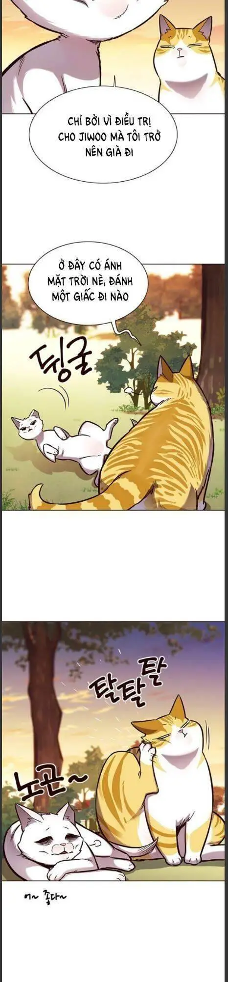 Hoá Thân Thành Mèo Nettruyen ZZZ Chương 161 Page 19