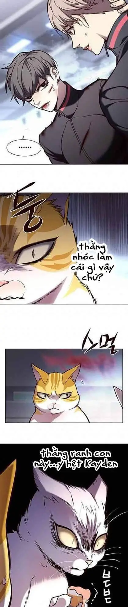 Hoá Thân Thành Mèo Nettruyen ZZZ Chương 155 Page 5