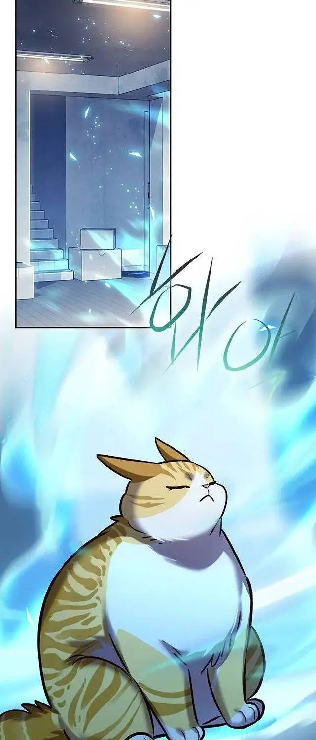 Hoá Thân Thành Mèo Nettruyen ZZZ Chương 309 Page 31