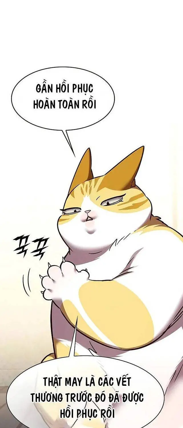 Hoá Thân Thành Mèo Nettruyen ZZZ Chương 309 Page 37