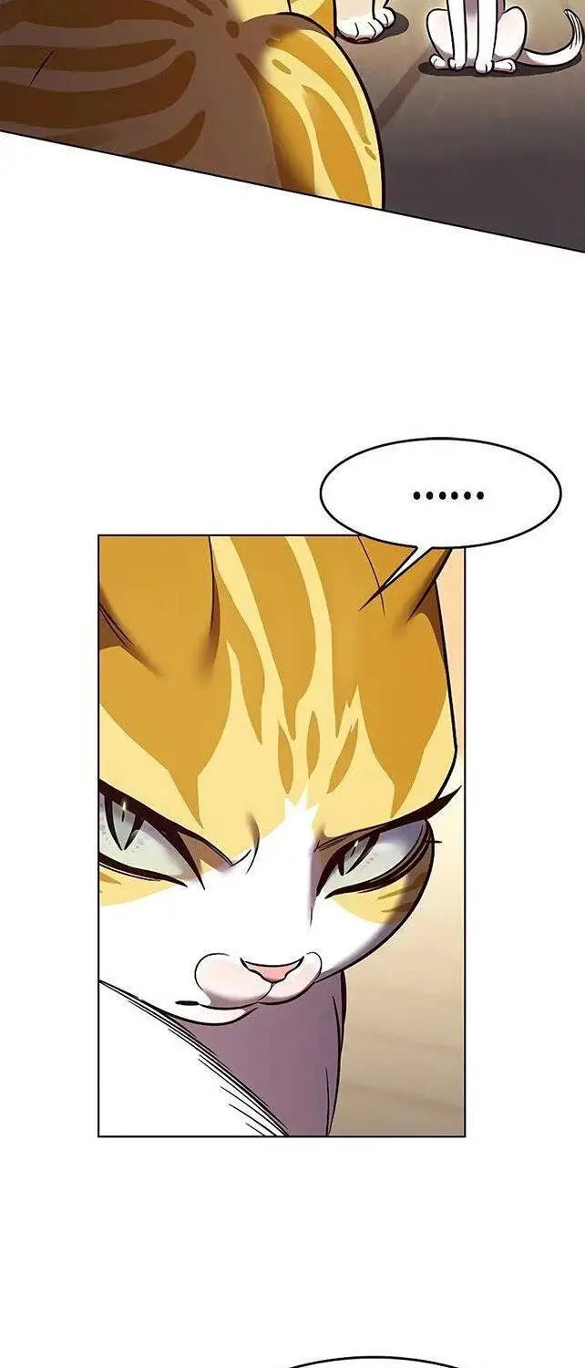 Hoá Thân Thành Mèo Nettruyen ZZZ Chương 309 Page 48