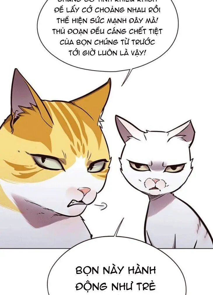 Hoá Thân Thành Mèo Nettruyen ZZZ Chương 148 Page 3