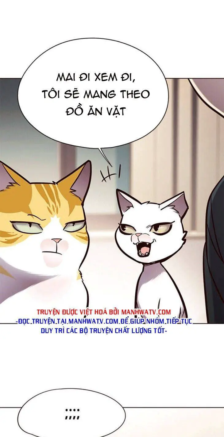 Hoá Thân Thành Mèo Nettruyen ZZZ Chương 148 Page 15