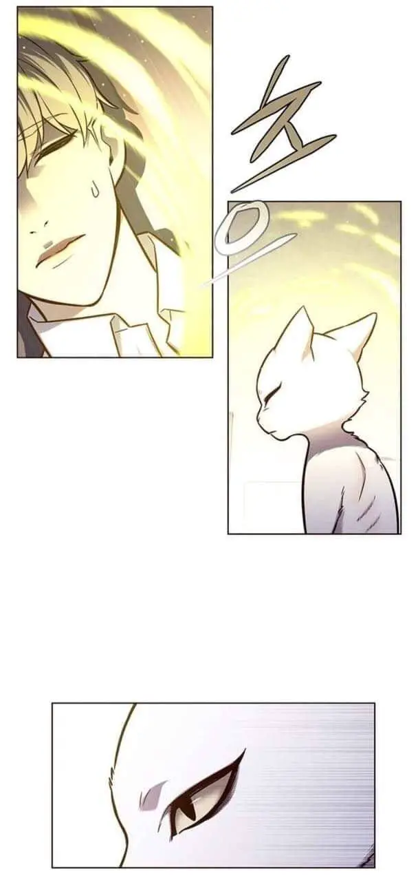 Hoá Thân Thành Mèo Nettruyen ZZZ Chương 144 Page 3
