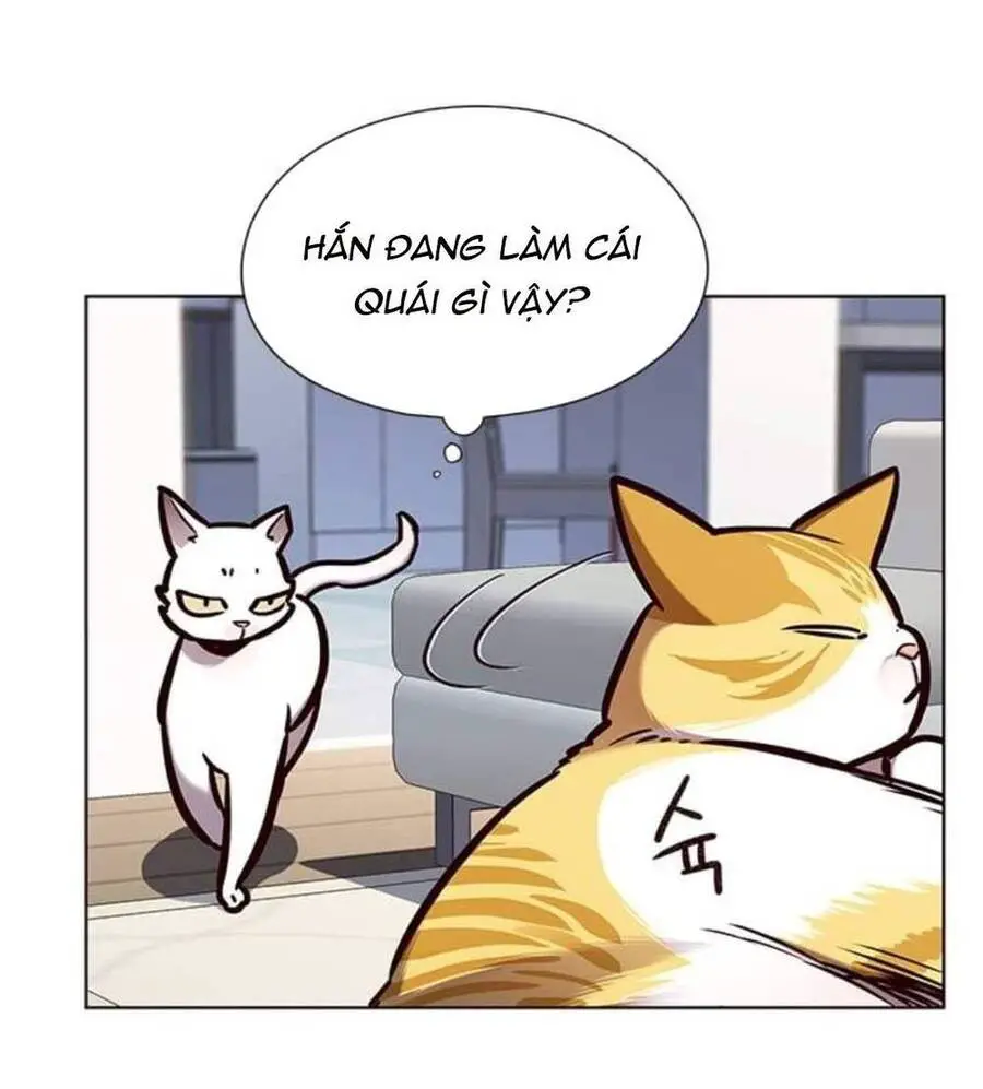 Hoá Thân Thành Mèo Nettruyen ZZZ Chương 144 Page 15