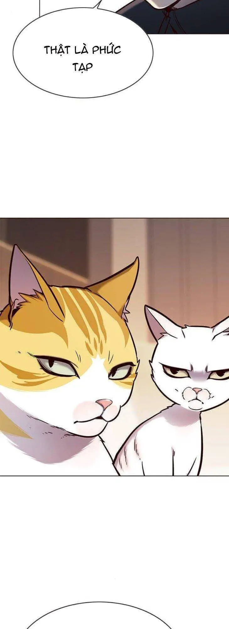 Hoá Thân Thành Mèo Nettruyen ZZZ Chương 146 Page 50