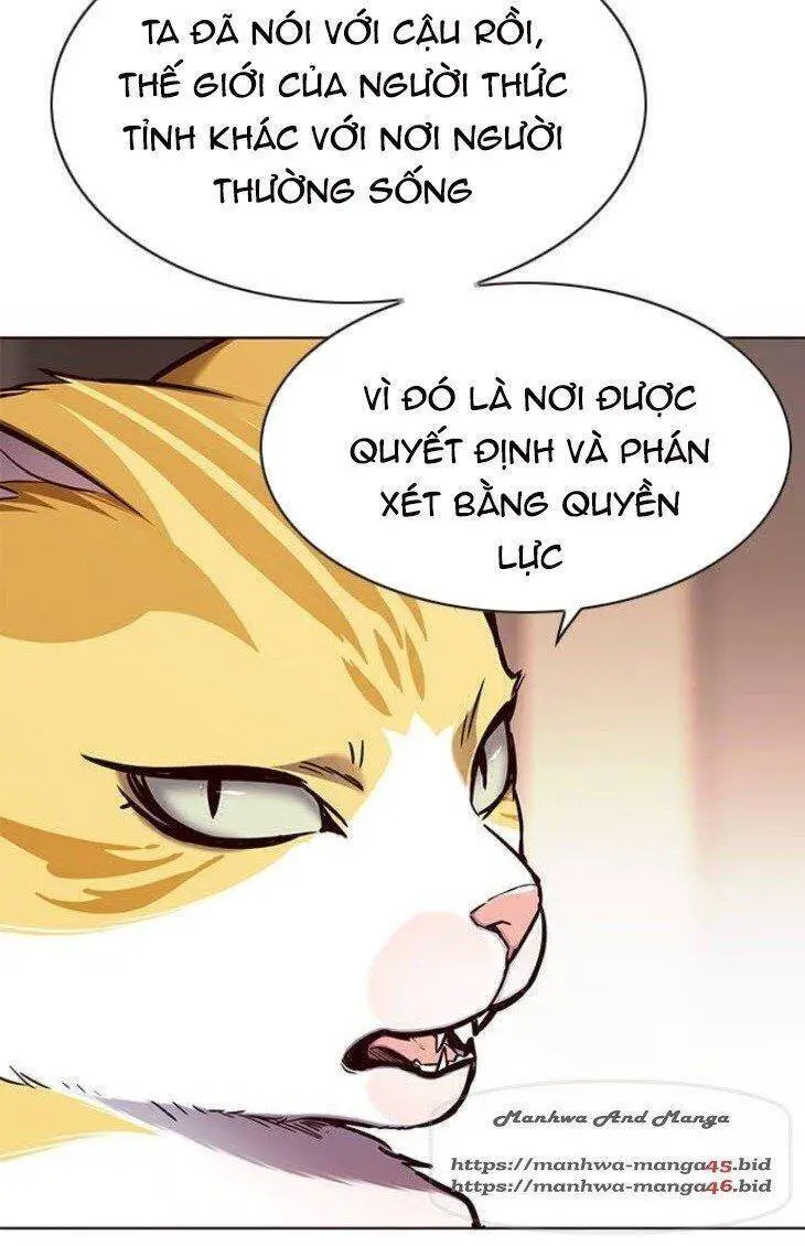 Hoá Thân Thành Mèo Nettruyen ZZZ Chương 146 Page 51