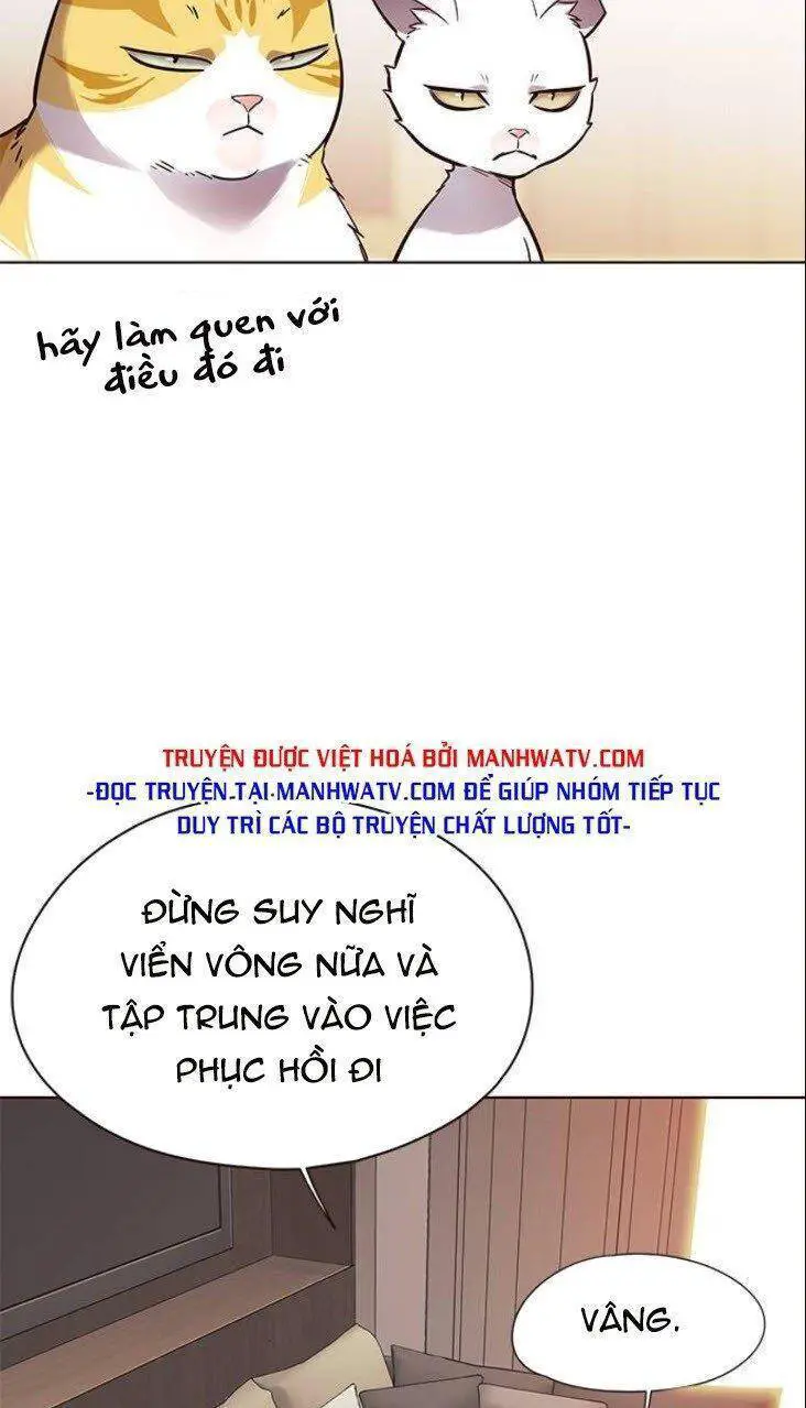 Hoá Thân Thành Mèo Nettruyen ZZZ Chương 146 Page 53